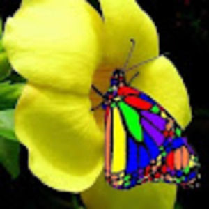 Meet your Posher, Bernadette